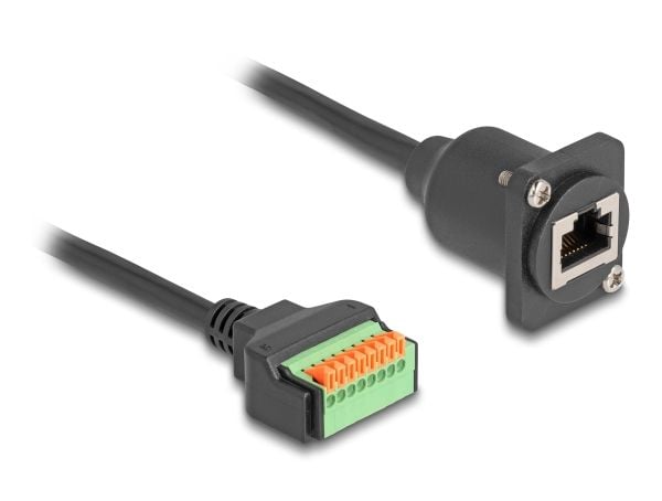 Delock - Nettverkskabel - RJ-45 (hunn) til 8-pins terminalblokk - 30 cm - 2.8 mm - CAT 5e - trykknapp - svart