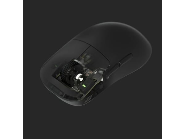 Endgame Gear OP1we, Mouse switches, Svart