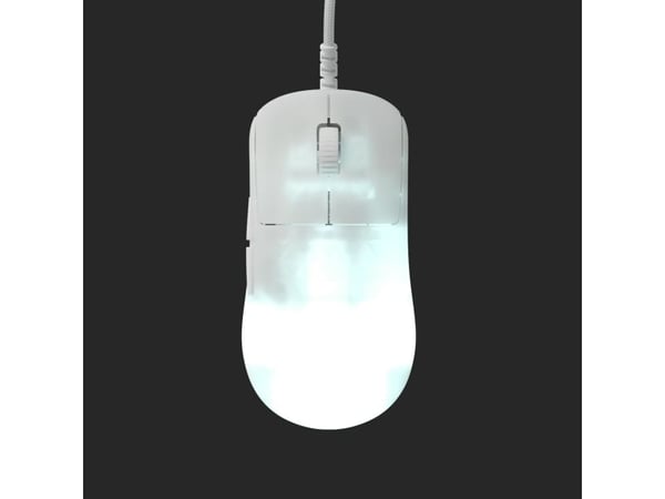 Endgame Gear OP1 RGB - Mus - høyrehendt - optisk - 5 knapper - kablet - USB-A - hvitfrost