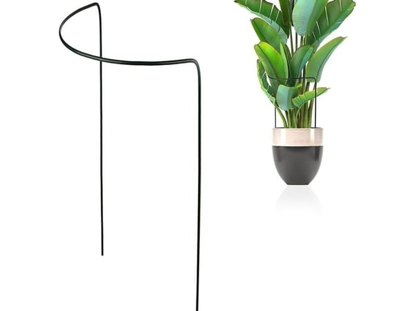 Bradas stålinnsats ringsstøtte for planter TYRP34090