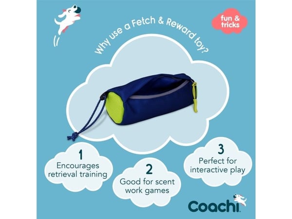 Coachi Fetch & Reward Navy & Lime