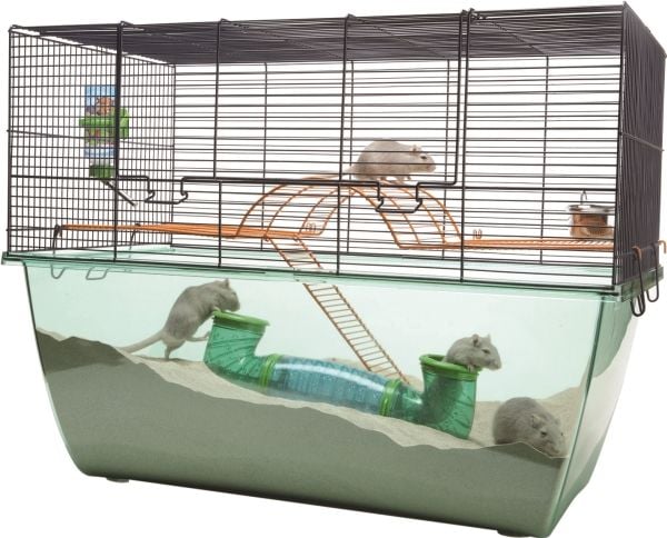 Savic Habitat XL 70x37x56 sininen lanka