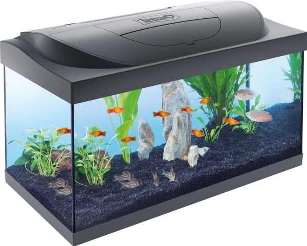 Tetra-akvaario - Starter Line -akvaario LED-valolla 54 l, musta