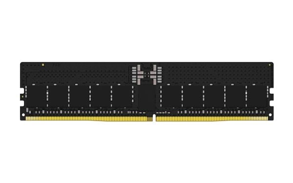 Kingston FURY Renegade Pro - DDR5 - modul - 32 GB - DIMM 288-pin - 6400 MHz / PC5-51200 - CL32 - 1.4 V - registrert - ECC - svart