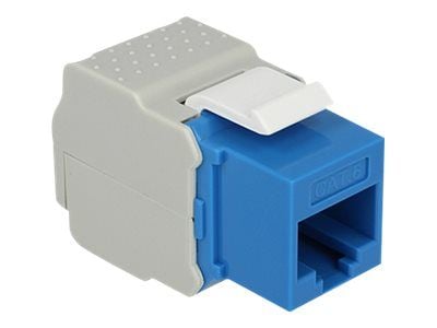 Delock - Modulinnlegg - CAT 6 - UTP - RJ-45 - blå