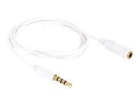 Delock - Lydkabel - mini-phone stereo 3.5 mm hann til mini-phone stereo 3.5 mm hunn - 1 m - hvit