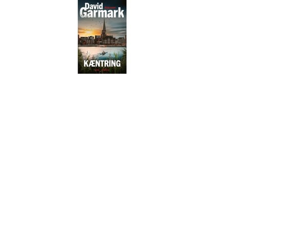 Waterboarding | David Garmark | Kieli: Tanska