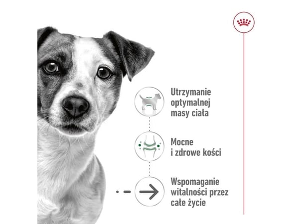 ROYAL CANIN Mini Ageing 12 x 85g