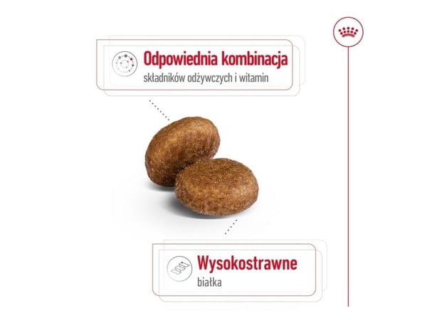 Royal Canin Maxi Adult 5+, Voksen, Maxi (26 - 44 kg), Fjærfe, Ris, 15 kg