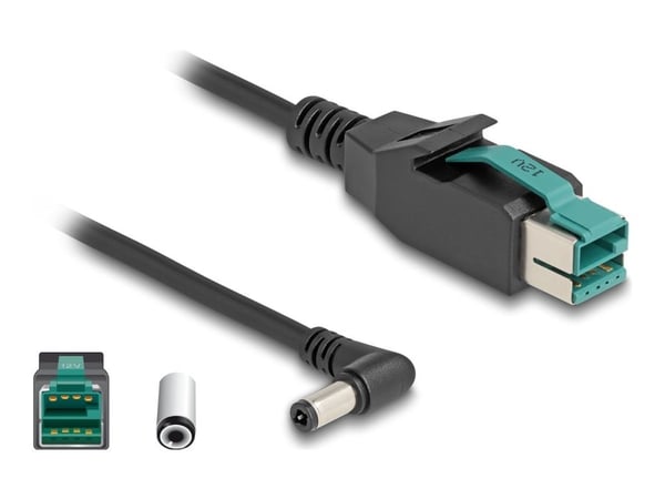 Delock - Strømforsynt USB-kabel - USB PlusPower (12 V) (hann) til 5,5 x 2,5 mm DC-jakk (hann) vinklet - 12 V - 1 m - svart