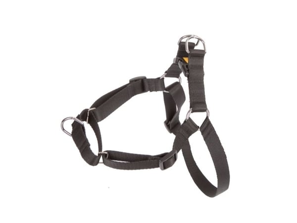 Dingo Easy Walk sele for hunder som trekker 95–125 cm svart