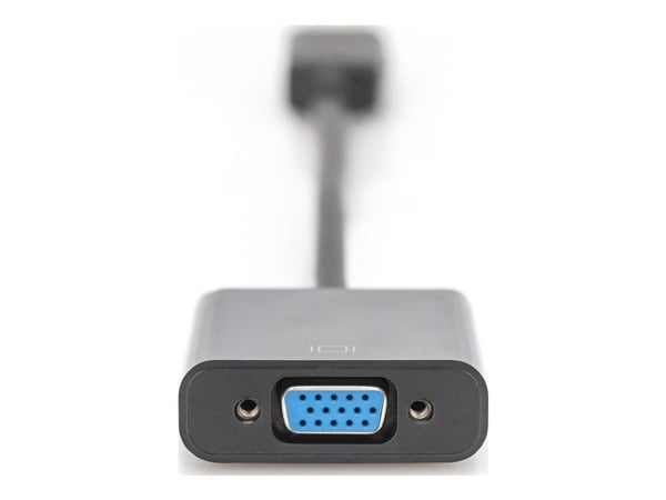 ASSMANN - DisplayPort-adapter - DisplayPort (hann) til HD-15 (VGA) (hunn) - 15 cm - formstøpt - svart