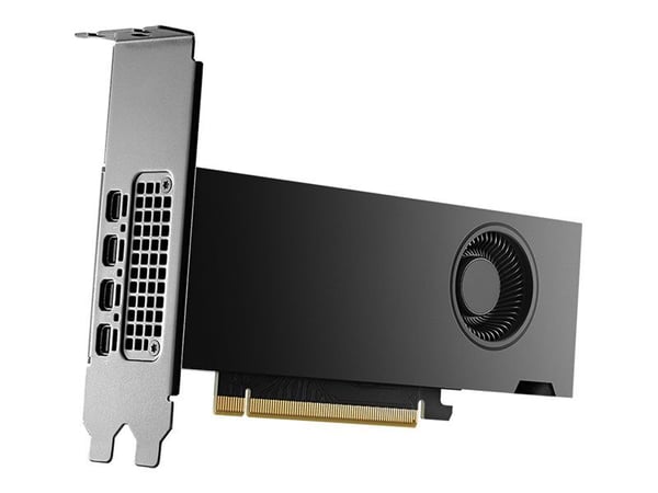 NVIDIA - Grafikkkort - NVIDIA RTX 2000 Ada - 16 GB GDDR6 - PCIe 4.0 x8 - 4 x Mini DisplayPort