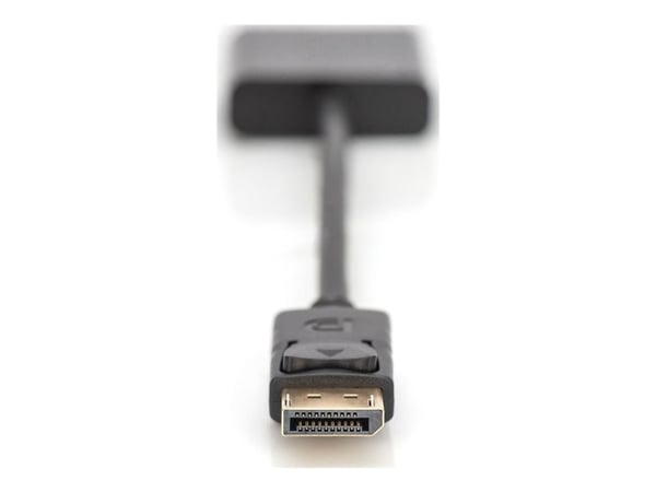 ASSMANN - DisplayPort-adapter - DisplayPort (hann) til HD-15 (VGA) (hunn) - 15 cm - formstøpt - svart