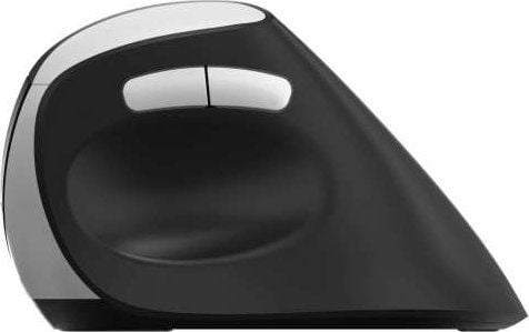 Rapoo EV250 - Vertikal mus - ergonomisk - optisk - 3 knapper - trådløs - 2.4 GHz, USB 3.0 - USB trådløs mottaker - svart