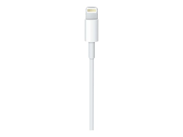 Apple USB-C to Lightning Cable - Lightning-kabel - USB-C hann til Lightning hann - 1 m