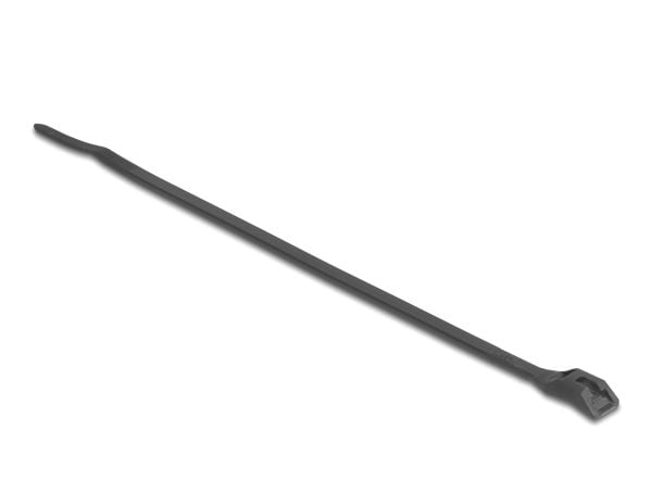 Delock kaapelinsiteet litteäpää L 205 x W 2,5 mm 100 kpl musta
