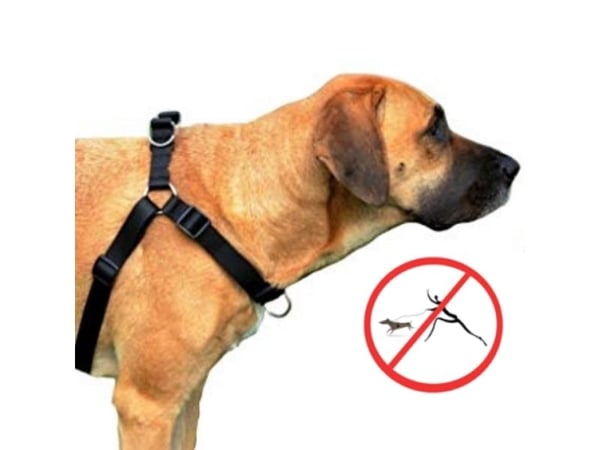 Dingo EASY WALK hundesele 52-74 cm svart