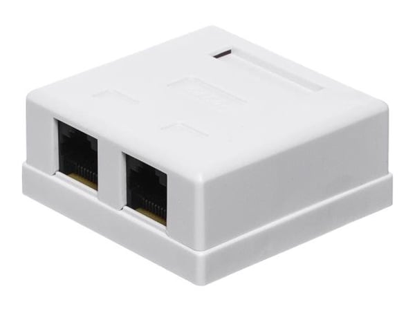 Netrack - Strömuttag - väggmontering, bordsmontering - CAT 6 - UTP - RJ-45 X 2 - vit