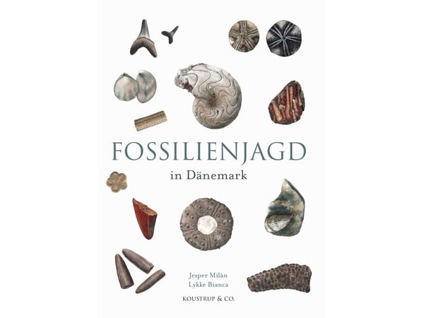 Fossiljakt i Danmark | Jesper Milan | Språk: ger