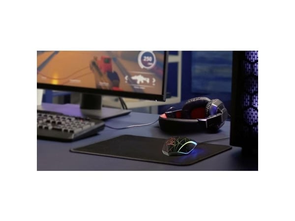 Renkforce RF-GM-120, Oikeakätinen, Optinen, USB A-tyyppi, 3600 DPI, musta, Valkoinen