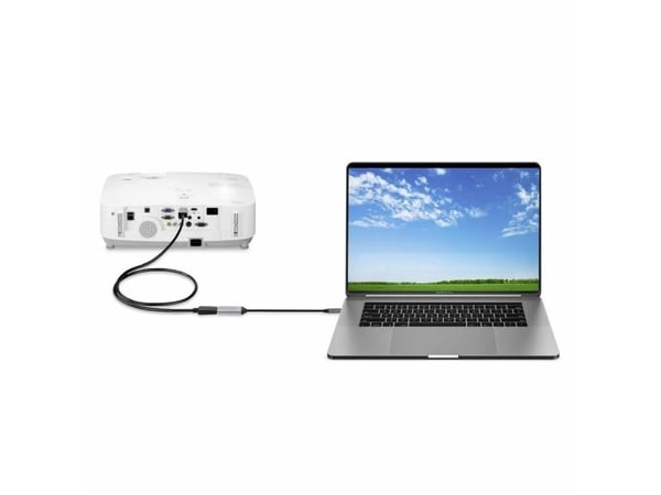 Renkforce RF-5397866, 0,15 m, DisplayPort, USB-C, Hunkjønn, Hankjønn, Rett