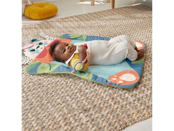 Fisher Price PlanetPals Roly-Poly Panda Play Mat
