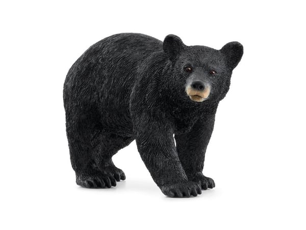 Schleich American Black Bear