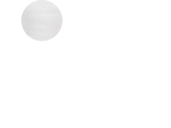 Duni Evolin - Bordduk - Størrelse 180 cm - rund - avhendbar - hvit (en pakke 15)