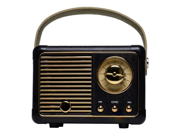 DENVER BTP-203B - Högtalare - för bärbar användning - trådlös - Bluetooth - 3 Watt - svart