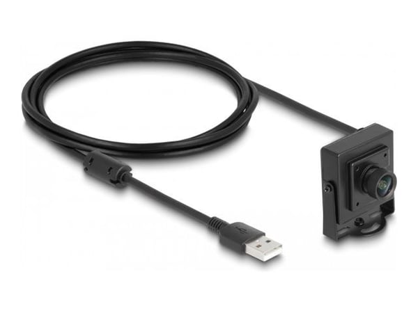 Delock USB 2.0-kamera 2,1 megapixel 100° fast fokus