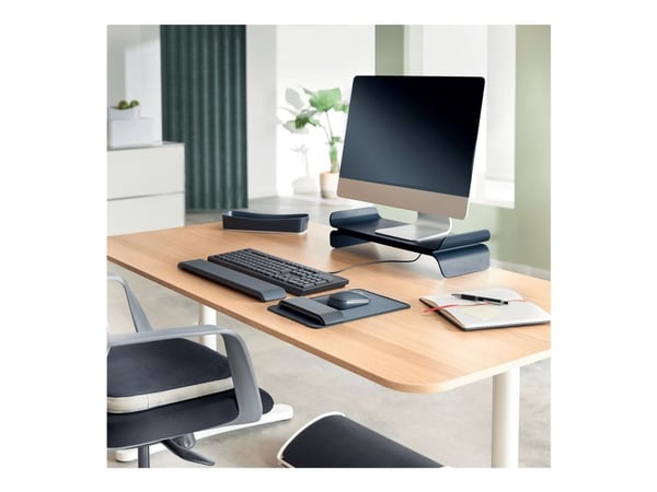 Leitz Ergo - Skjermstativ - adjustable - mørk grå