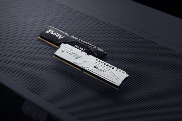 Kingston FURY Beast - DDR5 - modul - 16 GB - DIMM 288-pin - 6400 MHz / PC5-51200 - CL32 - 1.4 V - ikke-bufret - on-die ECC - hvit