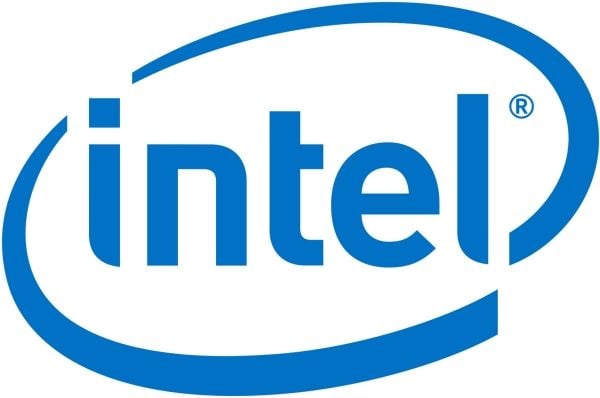 Intel Remote Management Module 4 Lite 2 - Adapter för administration på distans