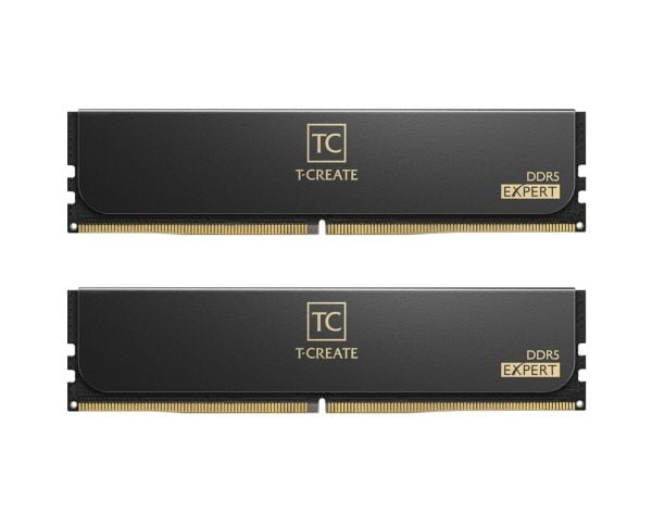 T-CREATE EXPERT - DDR5 - sett - 32 GB: 2 x 16 GB - DIMM 288-pin - 3200 MHz / PC5-51200 - CL32 - 1.35 V - ikke-bufret - on-die ECC - svart