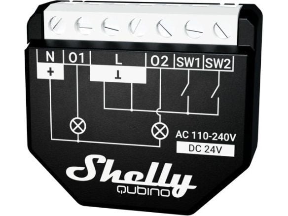 Shelly Qubino Wave 2PM