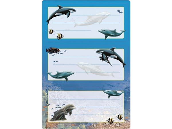 HERMA 5579, Multifärg, Rektangel, Permanent, papper, 6 styck, 2 styck