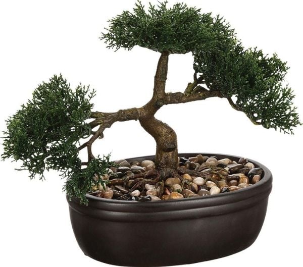 Dekorativ plante Bonsai 32x16x23 cm i keramikk, svart potte 103379 Dekorativ plante Bonsai 32x16x23 cm i keramikk, svart potte 103379