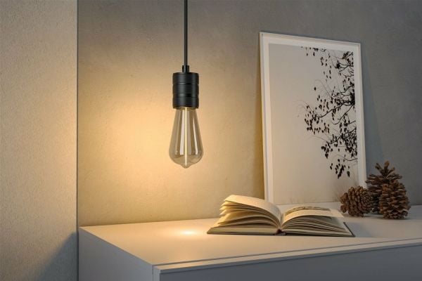 Paulmann 29182 LED (RGB)-valaisin E27 Kolbeform 2,8 W (Ø x K) 64 mm x 138 mm 1 stk 1 stk