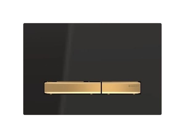 Geberit 115.672.DW.2, Skylleplate, Sort, Geberit, 246 mm, 13 mm, 164 mm