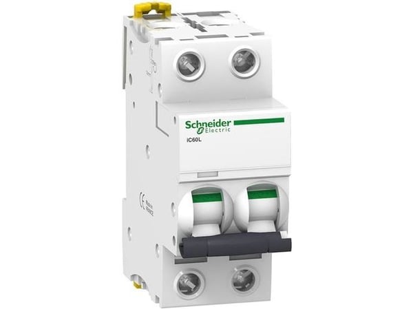 Schneider Electric A9F94216, IP20