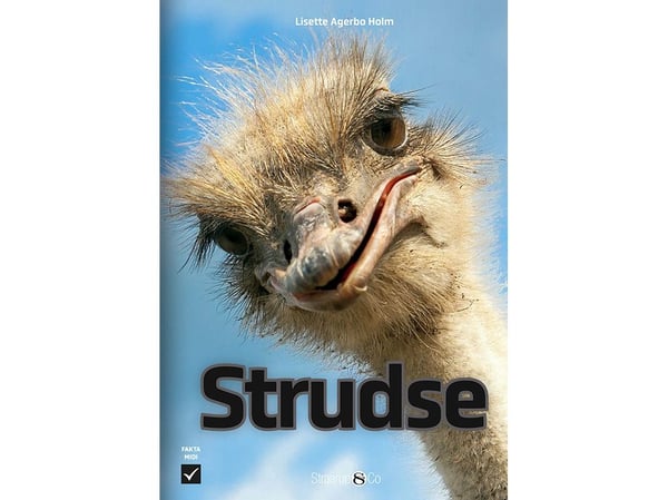 Struts | Lisette Agerbo Holm | Språk: Danska