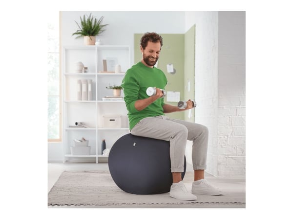 Leitz aktiivipallo lisäpainolla 55cm, Harmaa, Kangas, Sisätila, Pyöreä, 120 kg, 550 mm