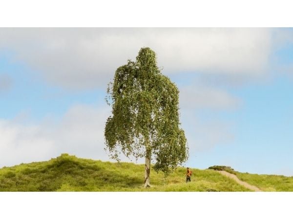 NOCH 20120, Vihreä, Ruskea, 1 kpl