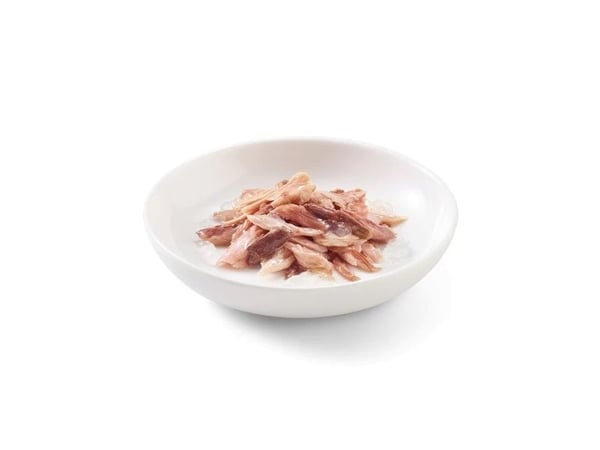 Schesir SCHESIR KOT 6x50g MULTIPAK tunfisk med biff i gelé