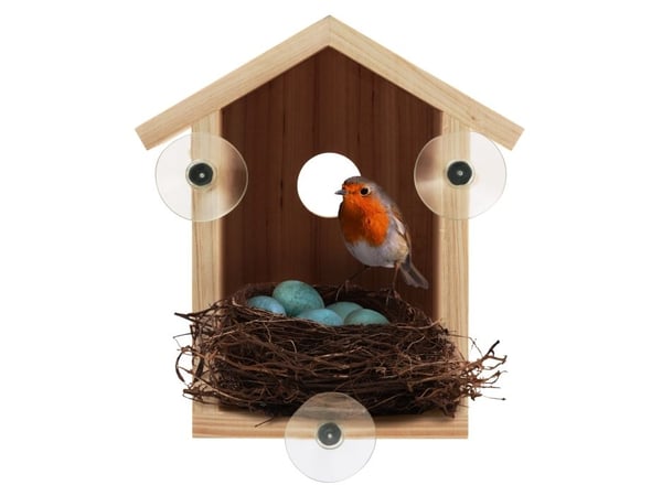 Bird Explorer - Fuglehus til vindue