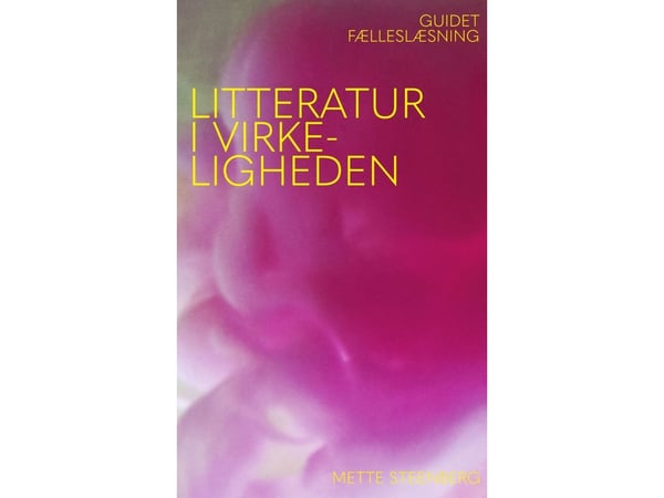 Litteratur i virkeligheten | Mette Steenberg, Helene Forsberg-Madsen og Anne Line Dalgård | Språk: Dansk