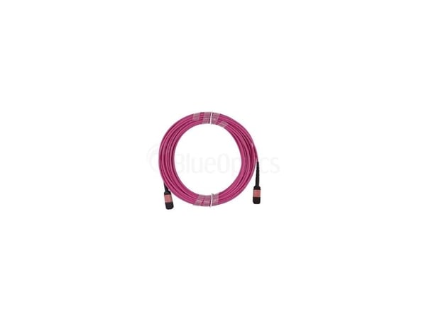 BlueOptics SFP5252FU50MKB, 50 m, OM4, MPO, MPO