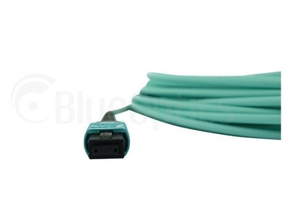 BlueOptics AT-MTP12-30-BO, 30 m, MTP, MTP, Hankjønn/hankjønn