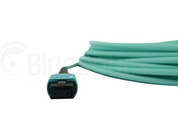 BlueOptics 00VX005-IB-BO, 30 m, MTP, MTP, naarasliitin